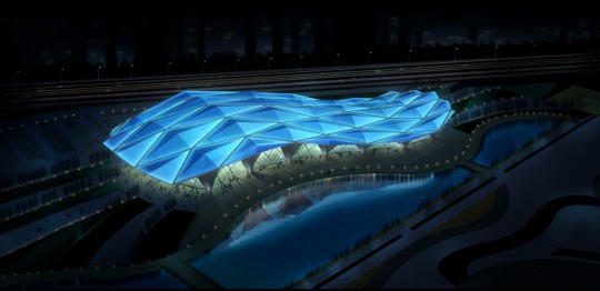 2010广州亚运会 奥林匹克中心游泳馆